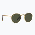 Sunglasses Ray-Ban New Round gold/green