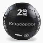 Medicine ball CENTR Wall Ball Centr x Hyrox 2 kg black