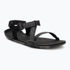 Men's barefoot sandals Xero Shoes Z-Trail EV multi / black