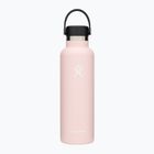 Hydro Flask Standard Flex 620 ml trillium travel bottle