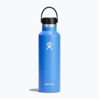 Hydro Flask Standard Flex 620 ml cascade travel bottle