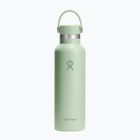 Hydro Flask Standard Flex 620 ml aloe thermal bottle