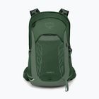 Osprey Talon 22 l green canopy / pine leaf men's hiking backpack