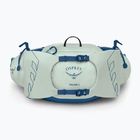 Osprey Talon 6 l mint green/night shift men's kidney sachet