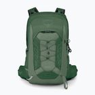 Men's hiking backpack Osprey Talon 11 l green canopy/ pine leaf