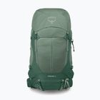 Men's hiking backpack Osprey Stratos 44 l pine leaf