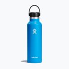 Hydro Flask Standard Flex 620 ml travel bottle pacific