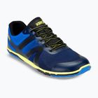 Men's barefoot shoes Xero Shoes HFS II blue/aster