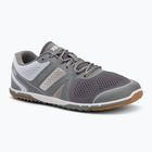 Men's barefoot shoes Xero Shoes HFS II gray/white