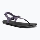 Women's barefoot sandals Xero Shoes H-Trail sage purple HTW-SGPU