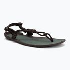 Men's barefoot sandals Xero Shoes Aqua Cloud java/brown/dark/forest