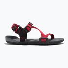 Barefoot Children's Xero Shoes Z-Trail charcoal/red pepper sandals