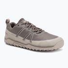 Berefoot Men's Xero Shoes Scrambler Trail Low WP morel/pure/cashmere shoes