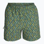 Royal Robbins All-In algae flash pt men's trekking trousers