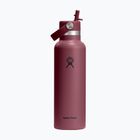 Thermal bottle Hydro Flask Standard Flex 621 ml burgundy