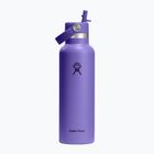 Thermal bottle Hydro Flask Standard Flex 621 ml utopia purple