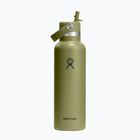 Thermal bottle Hydro Flask Standard Flex 621 ml palmer green