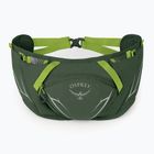 Osprey Duro Dyna 2 l seaweed green/limon kidney pouch