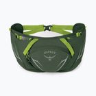 Osprey Duro Dyna 2 l seaweed green/limon kidney pouch
