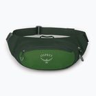 Osprey Daylite Waist 2 l green bely/green canopy kidney pouch