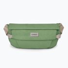 Osprey Arcane Hip 2 l botanica kidney sachet