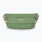 Osprey Arcane Hip 2 l botanica kidney sachet