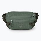 Osprey Transporter Waist Pack 3 l pine leaf kidney bag