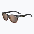 Tifosi Swank brown fade/brown sunglasses