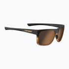 Tifosi Swick brown fade/brown sunglasses