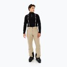 Men's snowboard trousers Protest PRTChester bamboo beige