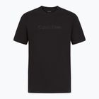Calvin Klein men's t-shirt LVGMS5K182 Graphic black