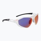 Sunglasses Nike Zeus Rise E matte clear/field tint