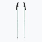 Atomic Cloud pistachio ski poles