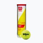 Wilson Champ Xd Tball tennis balls 4 pcs yellow WRT110000