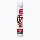 Wilson Team badminton shuttlecocks 12 pcs white.