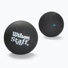Wilson Staff Ball Blue Dot squash balls 12 pcs black