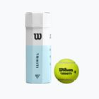 Wilson Triniti TBall tennis balls 3 pcs yellow WRT125200+