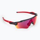 Oakley Radar EV XS Path matte black/prizm road children's sunglasses