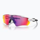 Oakley Radar EV XS Path matte white/prizm road children's sunglasses