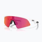 Children's sunglasses Oakley Resistor Sweep polished white/prizm field