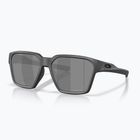 Sunglasses Oakley Briza steel