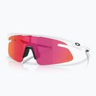 Sunglasses Oakley RSLV Lite matte white/prizm field