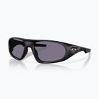 Sunglasses Oakley Neoforma matte black