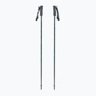 Ski poles Fischer RC4 Noize grey / blue