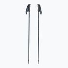 Ski poles Fischer Lite asphalt grey