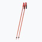 Komperdell Victory Ti infrared ski poles