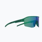 Sunglasses Red Bull SPECT Dundee matt turquoise pattern/smoke green-purple mirror