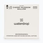 Microenergy waterdrop energy drink Shiro 12 cubes cherry blossom/ mallow