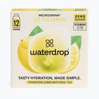 Waterdrop rehydration drink Microdrink Ice Tea 12 cubes lemon