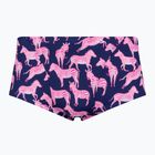 Men's swim boxers Funky Trunks Classic Trunks sweet stripes